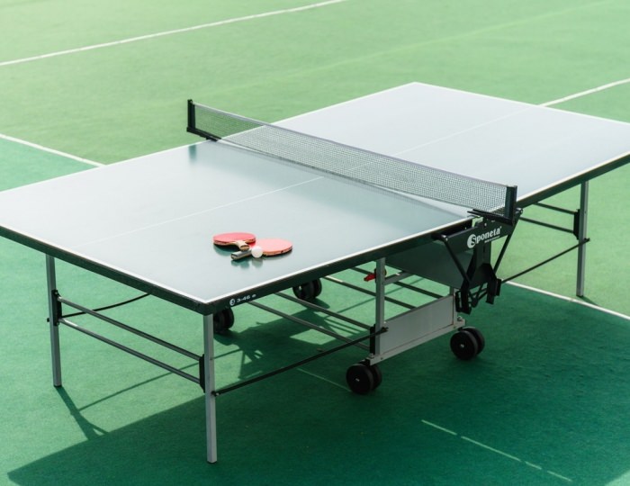 Настольный теннис - Эко-отель «Левант»